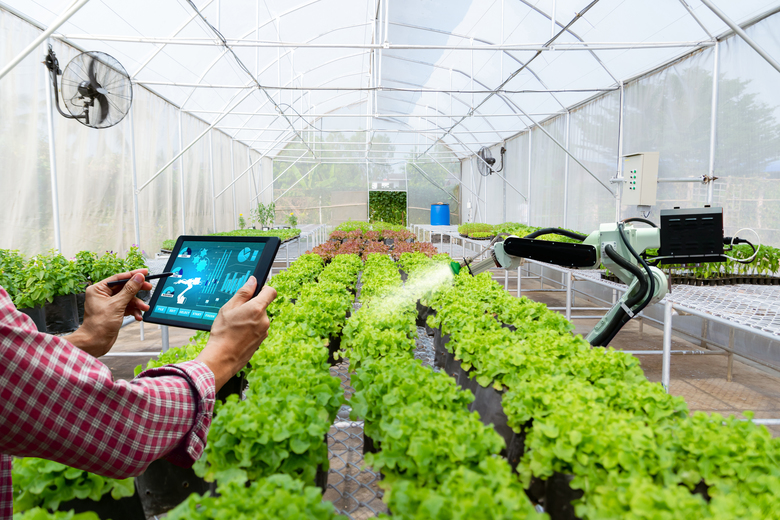 automatic technology in agricultural employment. The rise of artificial intelligence in employment is not far