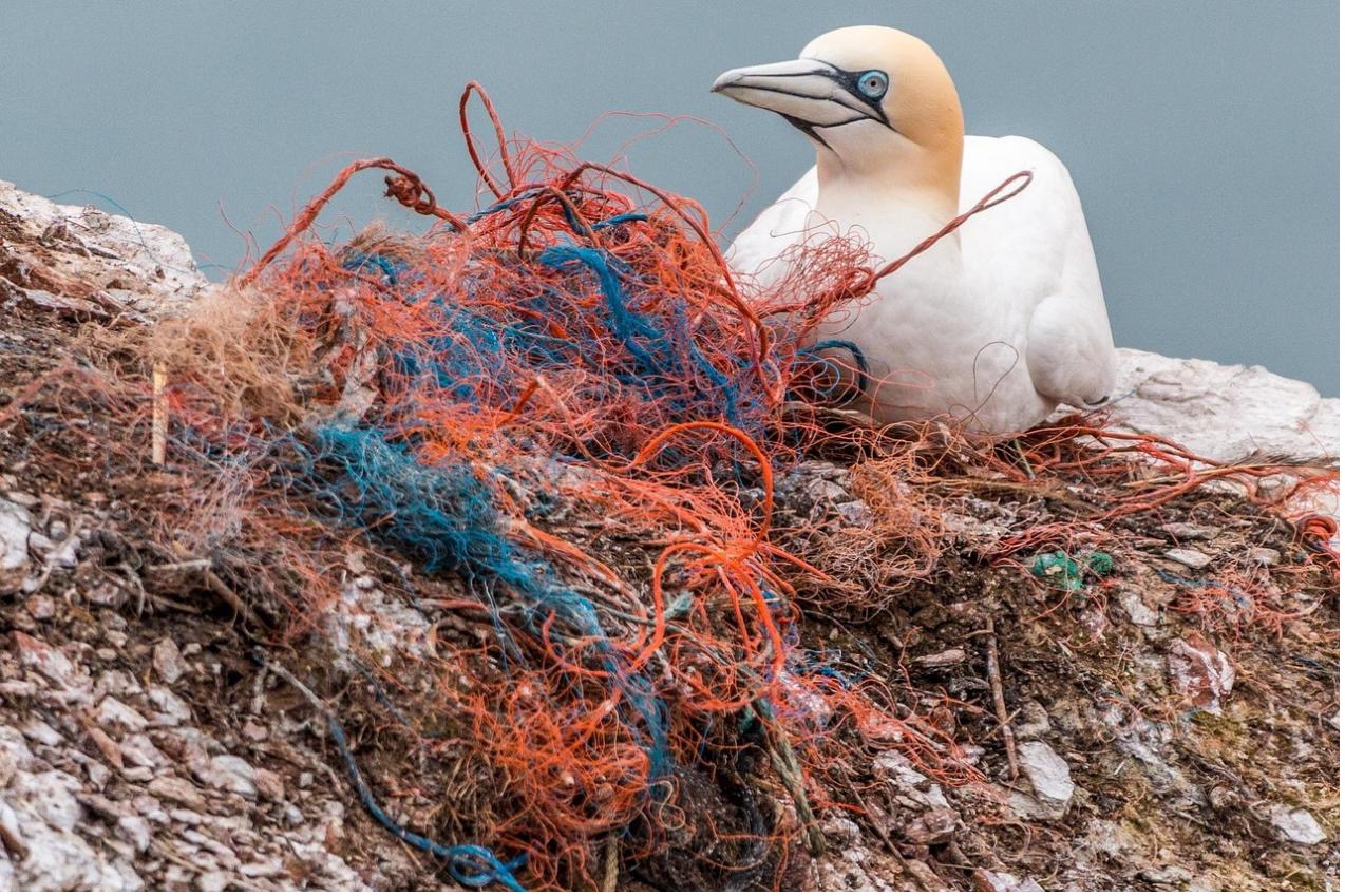 Safety net, Spirit network, Plastic waste image